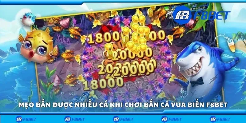 Mẹo bắn được nhiều cá khi chơi bắn cá vua biển F8bet
