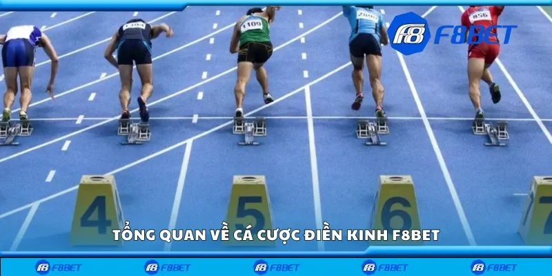 Tổng quan về cá cược điền kinh F8bet