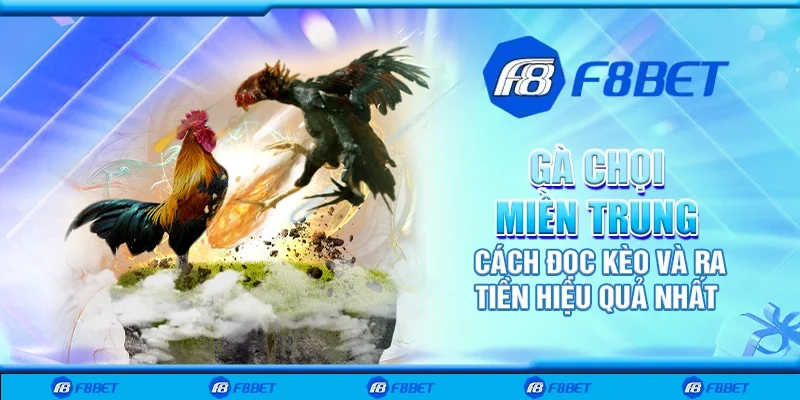 Gà chọi miền Trung - Cách đọc kèo và ra tiền hiệu quả nhất