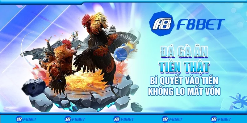 Đá gà ăn tiền thật - Bí quyết vào tiền không lo mất vốn