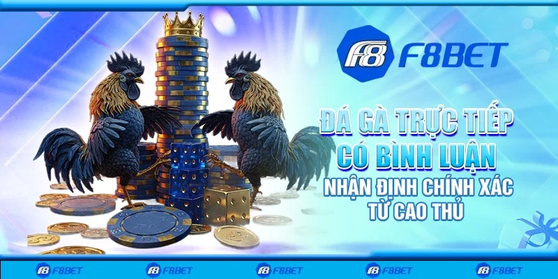 Đá gà trực tiếp có bình luận - Nhận định chính xác từ cao thủ