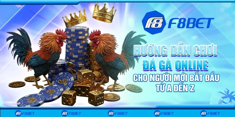 Hướng dẫn chơi đá gà online cho người mới bắt đầu từ A đến Z