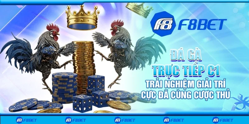 Đá gà trực tiếp C1 – Trải nghiệm giải trí cực đã cùng cược thủ