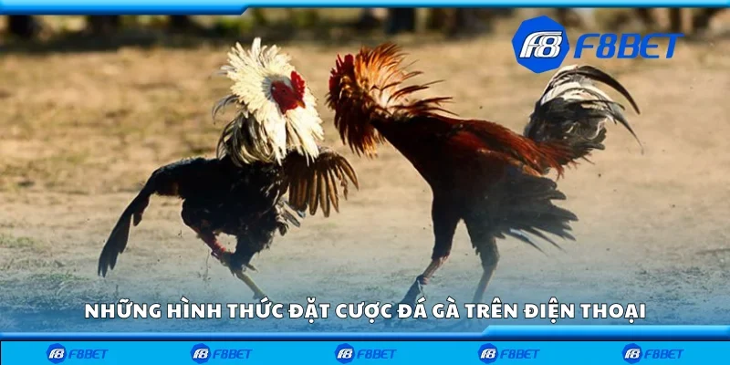 Những hình thức đặt cược đá gà trên điện thoại