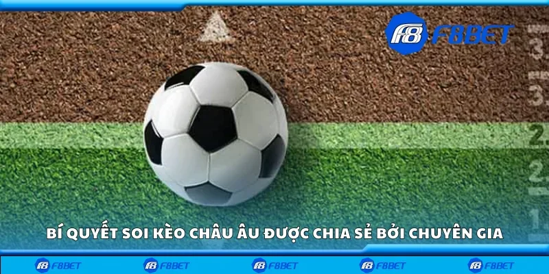 Bí quyết soi kèo châu Âu thực tế được chia sẻ bởi chuyên gia