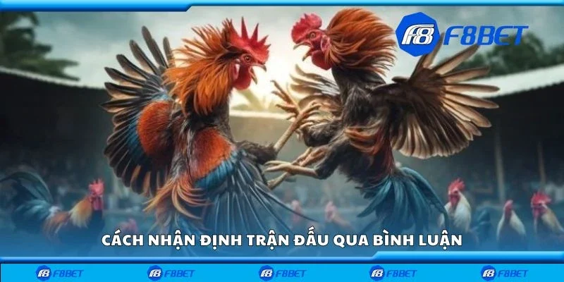 Cách nhận định trận đấu qua bình luận