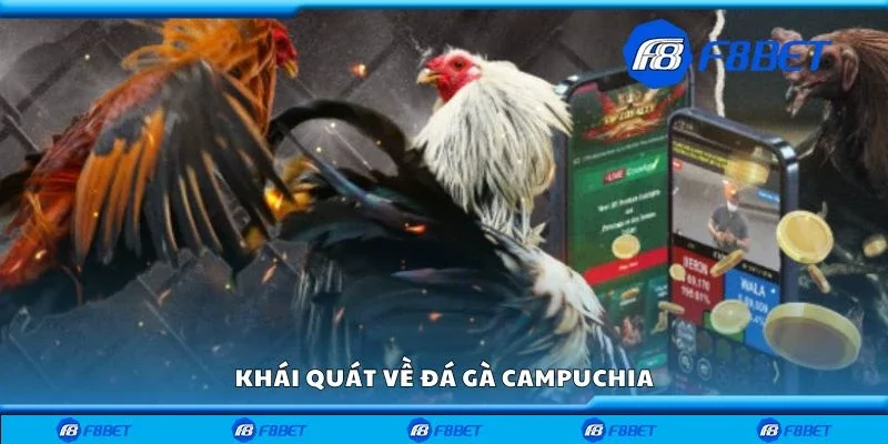 Khái quát về đá gà Campuchia
