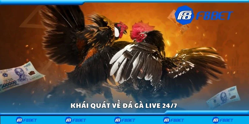 Khái quát về đá gà live 24/7