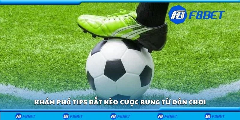Khám phá tips bắt kèo cược rung từ dân chơi