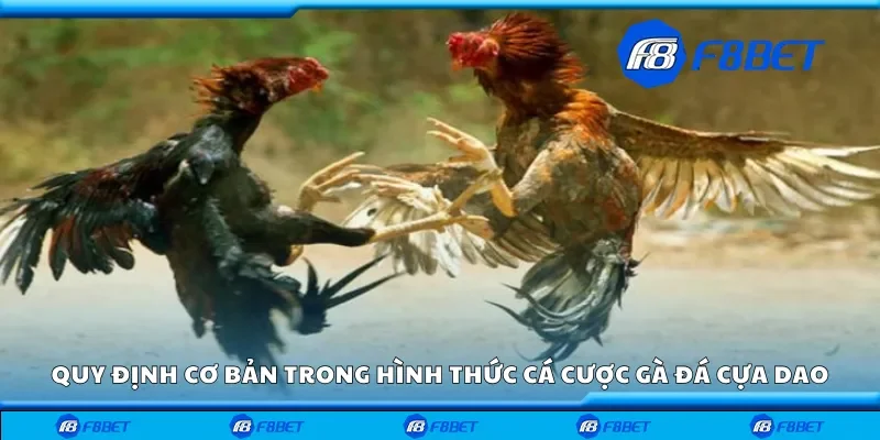 Quy định cơ bản trong hình thức cá cược gà đá cựa dao