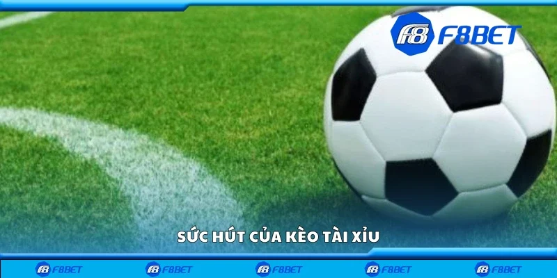 Sức hút của kèo Tài Xỉu